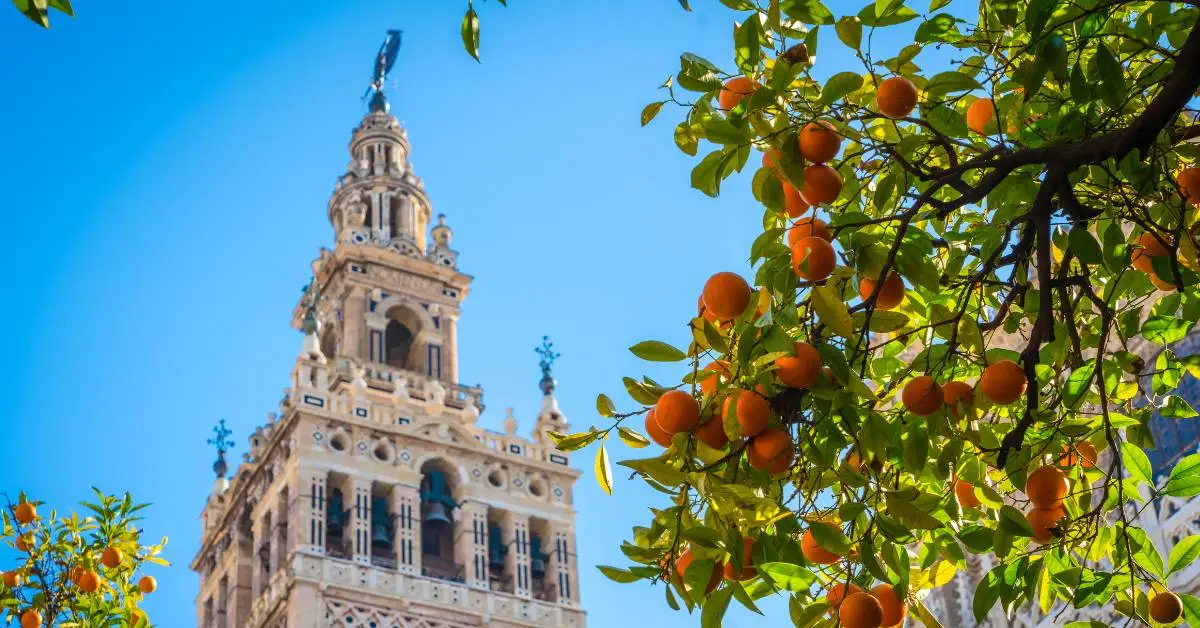 oferta-sevilla-frag-natalie